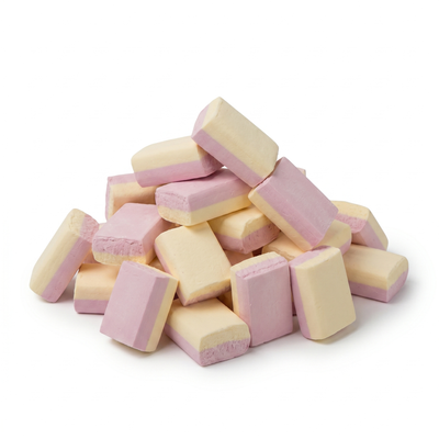 Van Vliet - Schuimblokken 200 Stuks