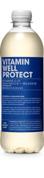 Vitamin - Well Protect 500ml 12 Pieces