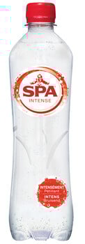 Spa - Intense 500ml 24 Stuks