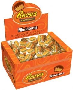 Reese's Peanut Butter Miniatures Box 105 Stuks 922 Gram
