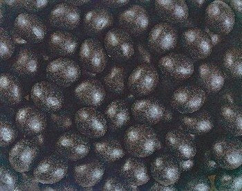 Venco - Salmiak Rondo's 250 Gram