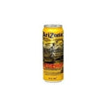 Arizona Energy Kräuter-Tonikum 680 ml