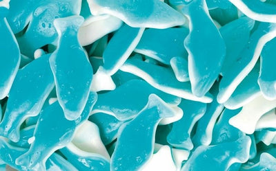 CCI - Dauphins 1 Kilo