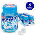 Mentos - Pure Freshmint Gum 6 Pieces