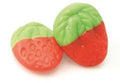 Damel – Erdbeeren/Fresas Salvajes 1 Kilo