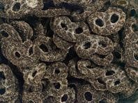 Haribo Drop Krakelingen 3 Kilo