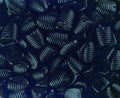 Venco - Honingliquorice 1 Kilo