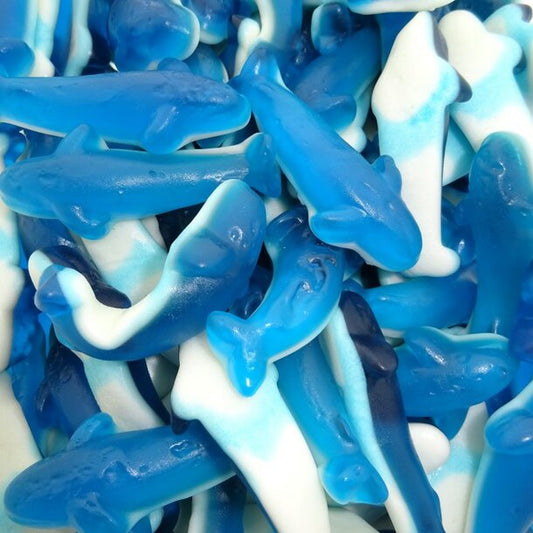 Astra - Orca's 1 Kilo