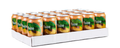 Fuze - Tea 330ml 24 Cans (geen statiegeld)