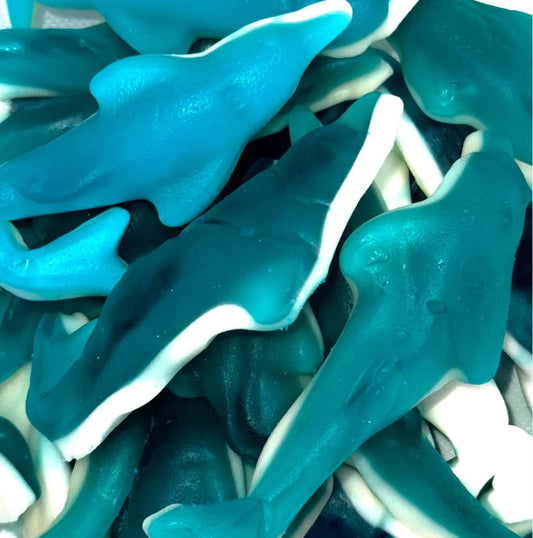 Fini - Giant Dolphin 1 Kilo