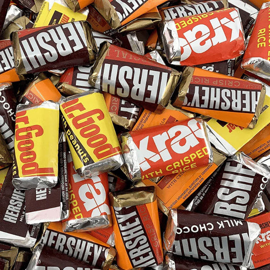 Hershey's - Mix 500 Gram