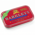 Barkleys - Zimtgummi in der Dose, 30 Gramm