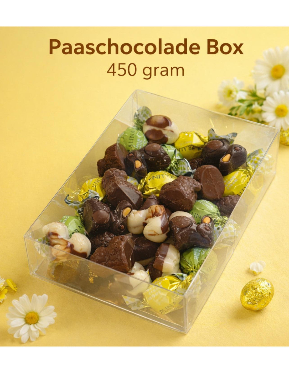 Lambertz & Visser - Paaschocolade Box 450 Gram