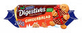 McVitie's - Gingerbread Chocolate Digestives 266 Gram
