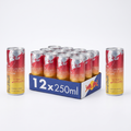 Red Bull - Energy Drink Winter Edition Fuji Apple Ginger 250ml 12 Blikjes [DEAL]