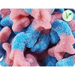 Matthijs - Dauphins 1 Kilo